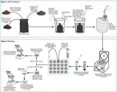 Chitin-enriched insect frass fertilizer as a biorational alternative for root-knot nematode (Meloidogyne incognita) management